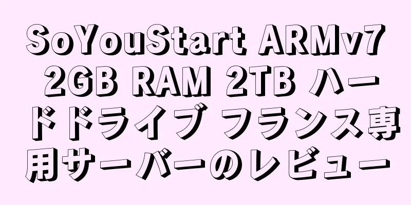 SoYouStart ARMv7 2GB RAM 2TB ハードドライブ フランス専用サーバーのレビュー