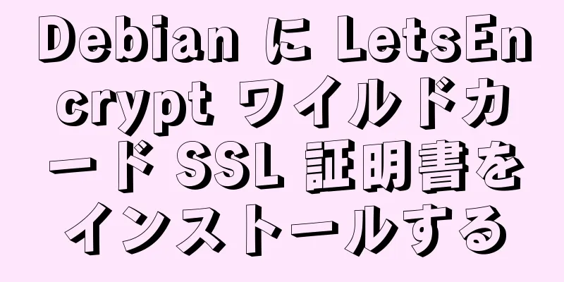 Debian に LetsEncrypt ワイルドカード SSL 証明書をインストールする