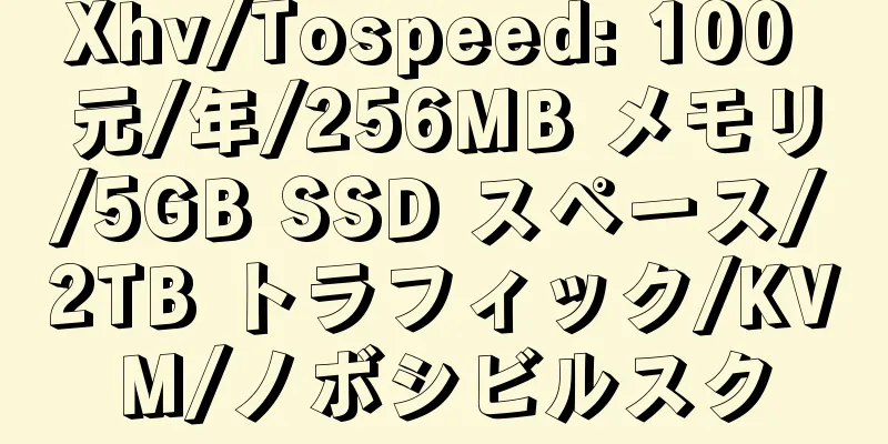 Xhv/Tospeed: 100 元/年/256MB メモリ/5GB SSD スペース/2TB トラフィック/KVM/ノボシビルスク