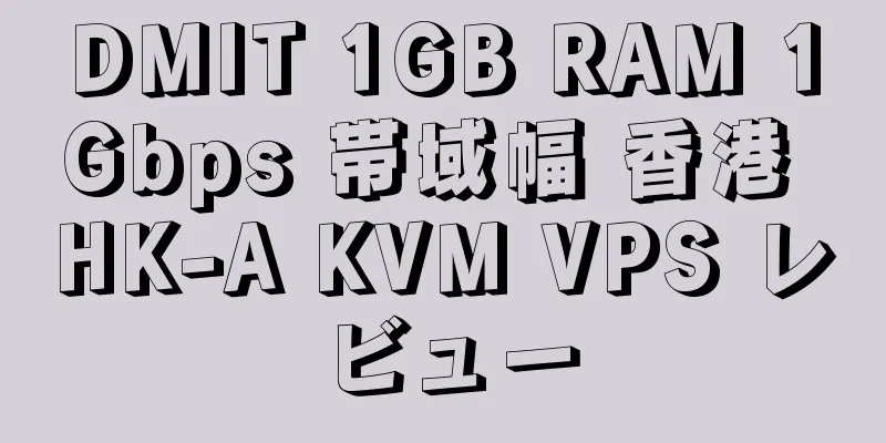 DMIT 1GB RAM 1Gbps 帯域幅 香港 HK-A KVM VPS レビュー