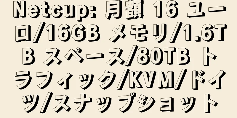 Netcup: 月額 16 ユーロ/16GB メモリ/1.6TB スペース/80TB トラフィック/KVM/ドイツ/スナップショット