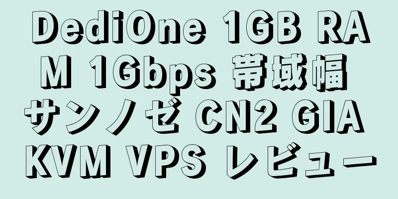 DediOne 1GB RAM 1Gbps 帯域幅 サンノゼ CN2 GIA KVM VPS レビュー