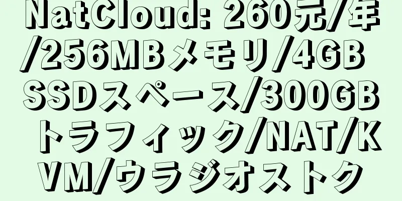 NatCloud: 260元/年/256MBメモリ/4GB SSDスペース/300GBトラフィック/NAT/KVM/ウラジオストク