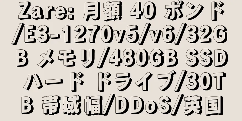 Zare: 月額 40 ポンド/E3-1270v5/v6/32GB メモリ/480GB SSD ハード ドライブ/30TB 帯域幅/DDoS/英国