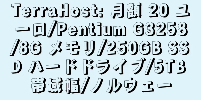 TerraHost: 月額 20 ユーロ/Pentium G3258/8G メモリ/250GB SSD ハードドライブ/5TB 帯域幅/ノルウェー