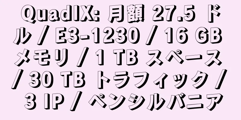 QuadIX: 月額 27.5 ドル / E3-1230 / 16 GB メモリ / 1 TB スペース / 30 TB トラフィック / 3 IP / ペンシルバニア