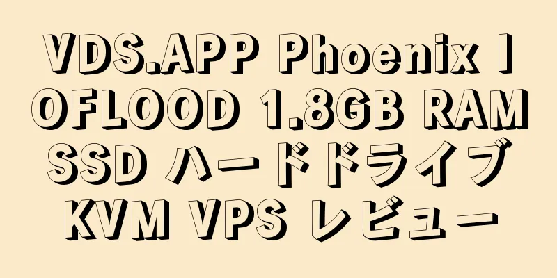 VDS.APP Phoenix IOFLOOD 1.8GB RAM SSD ハードドライブ KVM VPS レビュー