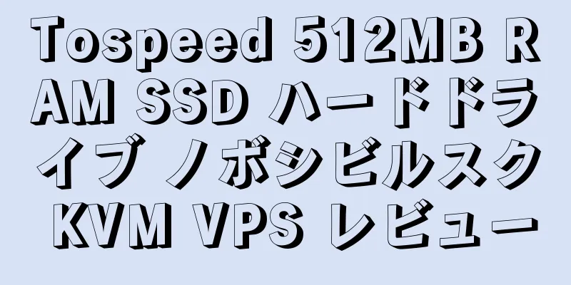 Tospeed 512MB RAM SSD ハードドライブ ノボシビルスク KVM VPS レビュー