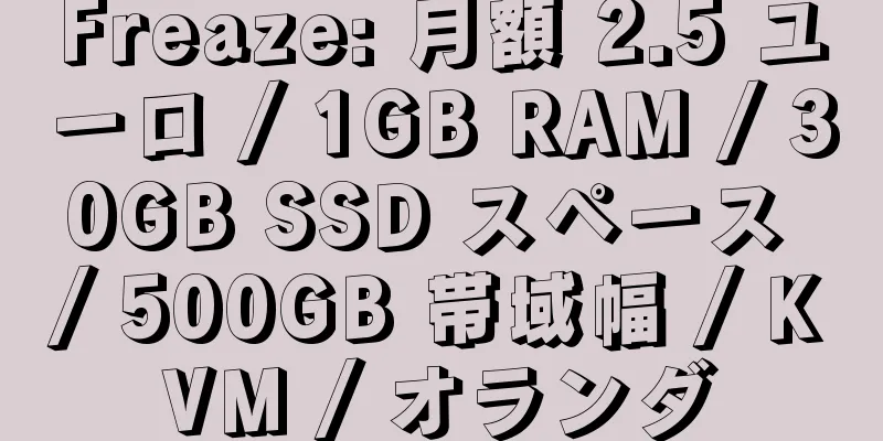 Freaze: 月額 2.5 ユーロ / 1GB RAM / 30GB SSD スペース / 500GB 帯域幅 / KVM / オランダ