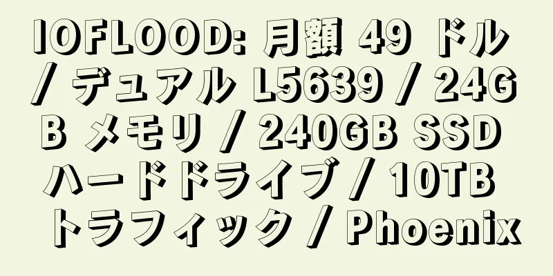 IOFLOOD: 月額 49 ドル / デュアル L5639 / 24GB メモリ / 240GB SSD ハードドライブ / 10TB トラフィック / Phoenix
