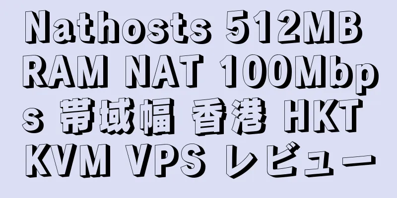 Nathosts 512MB RAM NAT 100Mbps 帯域幅 香港 HKT KVM VPS レビュー