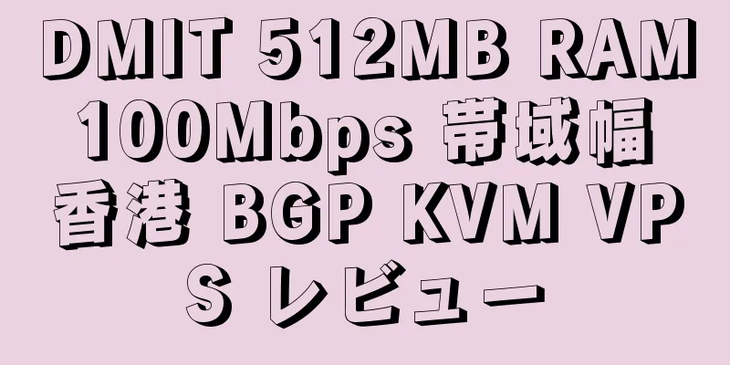 DMIT 512MB RAM 100Mbps 帯域幅 香港 BGP KVM VPS レビュー