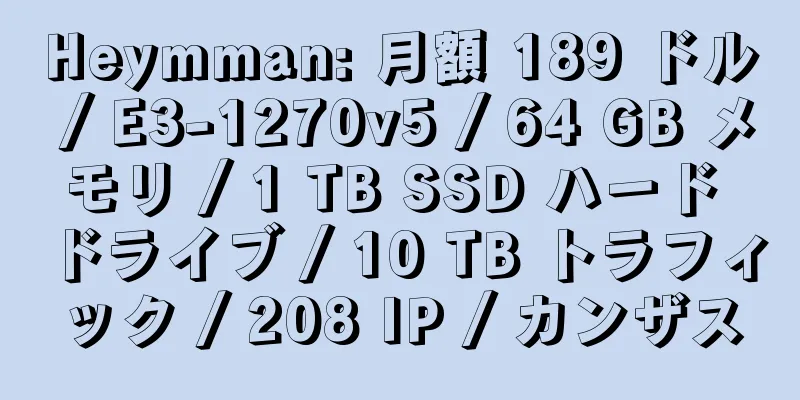 Heymman: 月額 189 ドル / E3-1270v5 / 64 GB メモリ / 1 TB SSD ハード ドライブ / 10 TB トラフィック / 208 IP / カンザス