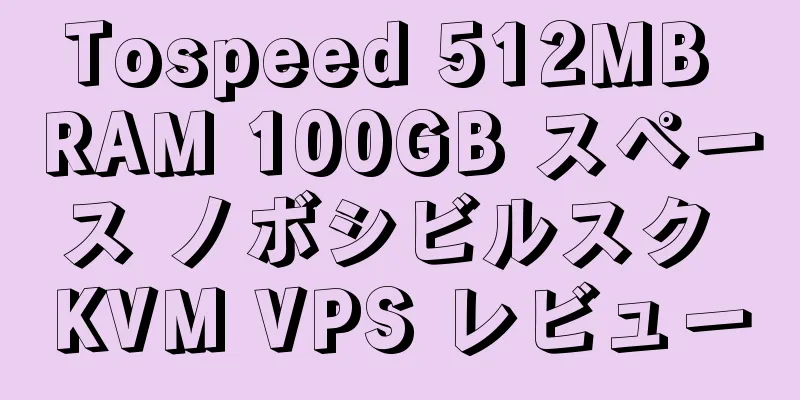 Tospeed 512MB RAM 100GB スペース ノボシビルスク KVM VPS レビュー