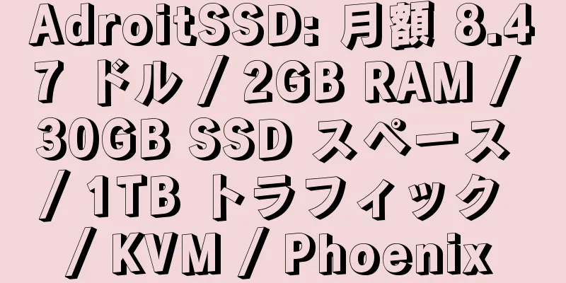 AdroitSSD: 月額 8.47 ドル / 2GB RAM / 30GB SSD スペース / 1TB トラフィック / KVM / Phoenix