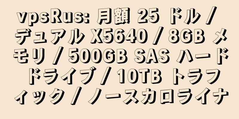 vpsRus: 月額 25 ドル / デュアル X5640 / 8GB メモリ / 500GB SAS ハード ドライブ / 10TB トラフィック / ノースカロライナ