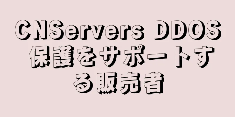 CNServers DDOS 保護をサポートする販売者