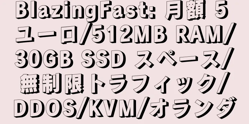 BlazingFast: 月額 5 ユーロ/512MB RAM/30GB SSD スペース/無制限トラフィック/DDOS/KVM/オランダ