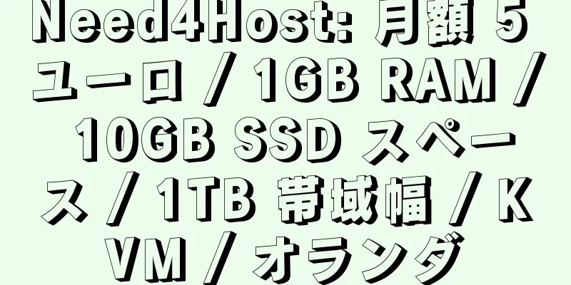 Need4Host: 月額 5 ユーロ / 1GB RAM / 10GB SSD スペース / 1TB 帯域幅 / KVM / オランダ