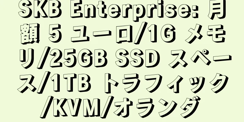 SKB Enterprise: 月額 5 ユーロ/1G メモリ/25GB SSD スペース/1TB トラフィック/KVM/オランダ