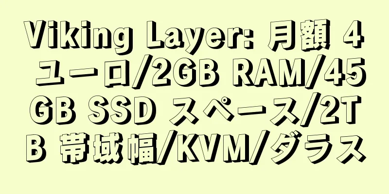 Viking Layer: 月額 4 ユーロ/2GB RAM/45GB SSD スペース/2TB 帯域幅/KVM/ダラス