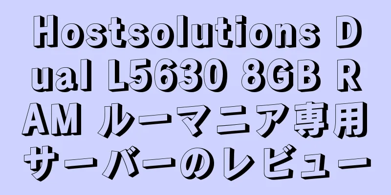 Hostsolutions Dual L5630 8GB RAM ルーマニア専用サーバーのレビュー