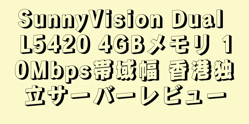 SunnyVision Dual L5420 4GBメモリ 10Mbps帯域幅 香港独立サーバーレビュー