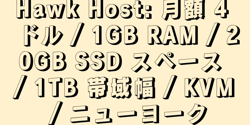 Hawk Host: 月額 4 ドル / 1GB RAM / 20GB SSD スペース / 1TB 帯域幅 / KVM / ニューヨーク