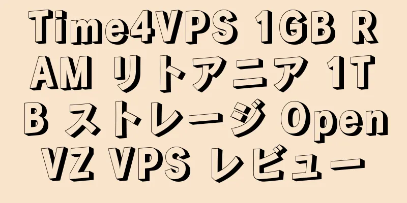 Time4VPS 1GB RAM リトアニア 1TB ストレージ OpenVZ VPS レビュー