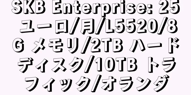 SKB Enterprise: 25 ユーロ/月/L5520/8G メモリ/2TB ハードディスク/10TB トラフィック/オランダ