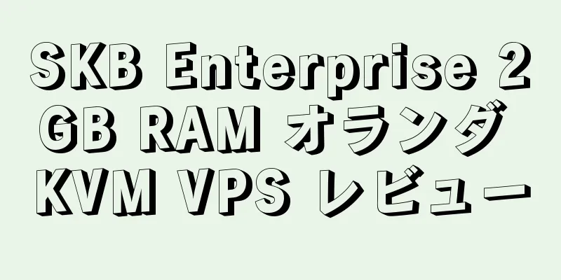 SKB Enterprise 2GB RAM オランダ KVM VPS レビュー