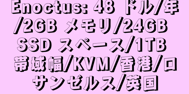 Enoctus: 48 ドル/年/2GB メモリ/24GB SSD スペース/1TB 帯域幅/KVM/香港/ロサンゼルス/英国