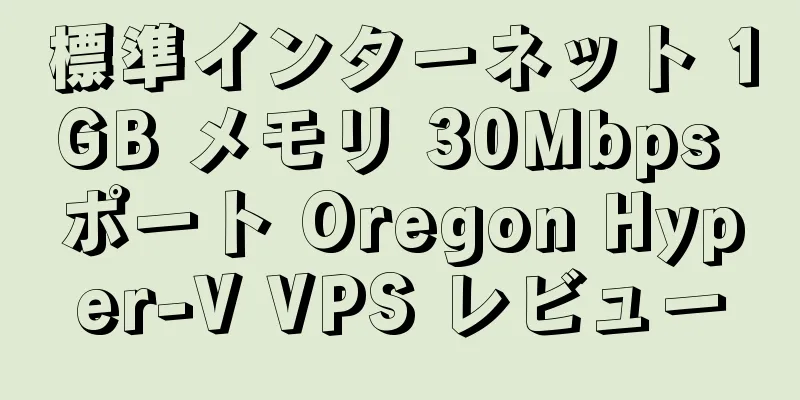 標準インターネット 1GB メモリ 30Mbps ポート Oregon Hyper-V VPS レビュー