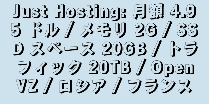 Just Hosting: 月額 4.95 ドル / メモリ 2G / SSD スペース 20GB / トラフィック 20TB / OpenVZ / ロシア / フランス