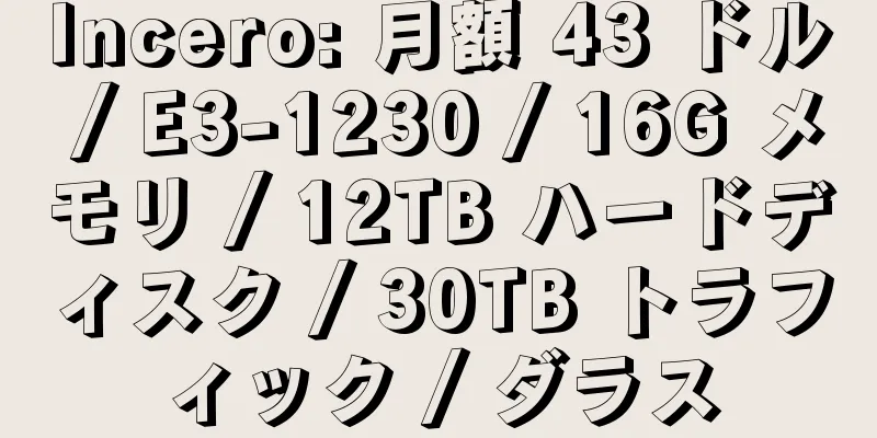 Incero: 月額 43 ドル / E3-1230 / 16G メモリ / 12TB ハードディスク / 30TB トラフィック / ダラス