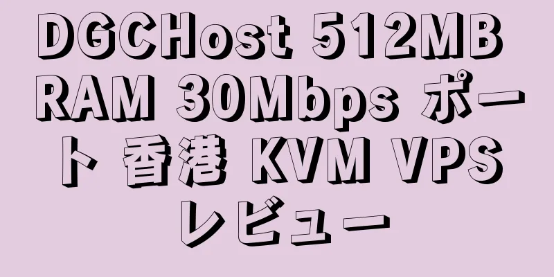 DGCHost 512MB RAM 30Mbps ポート 香港 KVM VPS レビュー