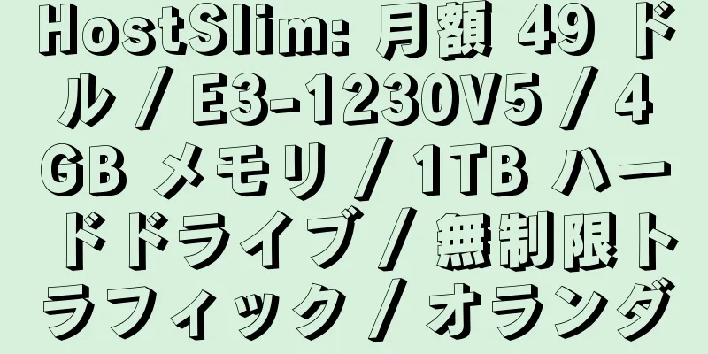 HostSlim: 月額 49 ドル / E3-1230V5 / 4GB メモリ / 1TB ハードドライブ / 無制限トラフィック / オランダ