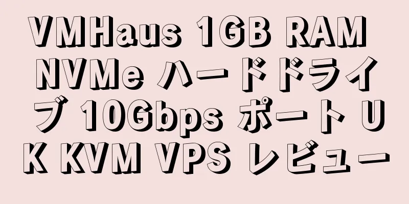 VMHaus 1GB RAM NVMe ハードドライブ 10Gbps ポート UK KVM VPS レビュー