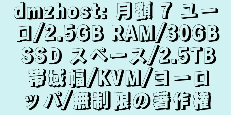 dmzhost: 月額 7 ユーロ/2.5GB RAM/30GB SSD スペース/2.5TB 帯域幅/KVM/ヨーロッパ/無制限の著作権