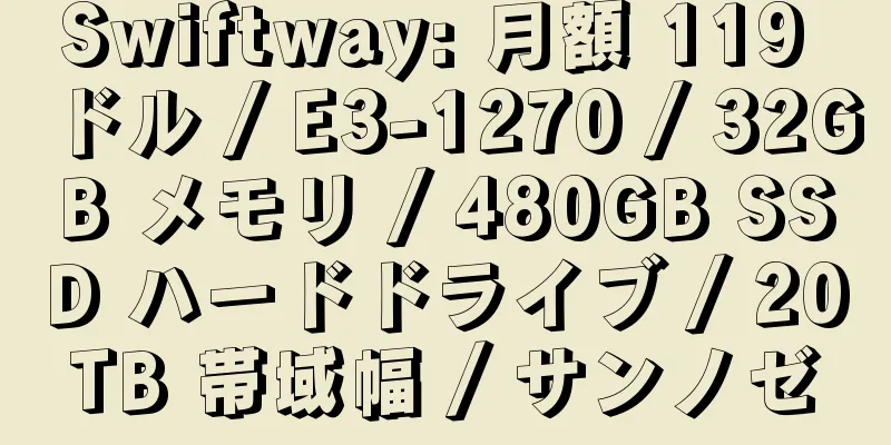 Swiftway: 月額 119 ドル / E3-1270 / 32GB メモリ / 480GB SSD ハードドライブ / 20TB 帯域幅 / サンノゼ