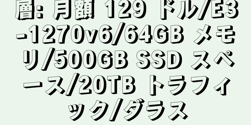 層: 月額 129 ドル/E3-1270v6/64GB メモリ/500GB SSD スペース/20TB トラフィック/ダラス