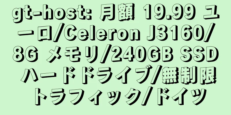 gt-host: 月額 19.99 ユーロ/Celeron J3160/8G メモリ/240GB SSD ハードドライブ/無制限トラフィック/ドイツ