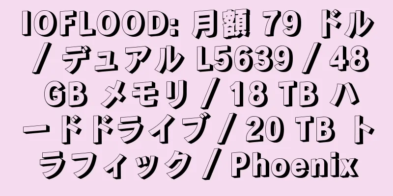 IOFLOOD: 月額 79 ドル / デュアル L5639 / 48 GB メモリ / 18 TB ハードドライブ / 20 TB トラフィック / Phoenix