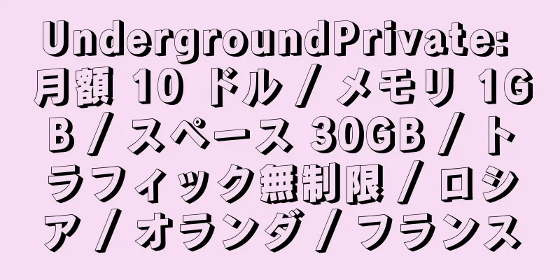 UndergroundPrivate: 月額 10 ドル / メモリ 1GB / スペース 30GB / トラフィック無制限 / ロシア / オランダ / フランス