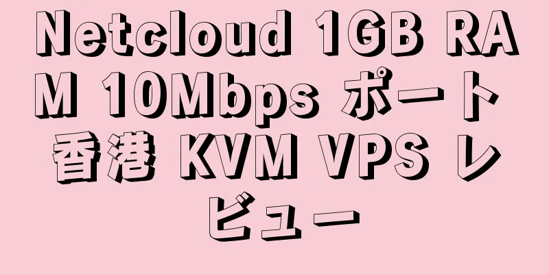 Netcloud 1GB RAM 10Mbps ポート 香港 KVM VPS レビュー