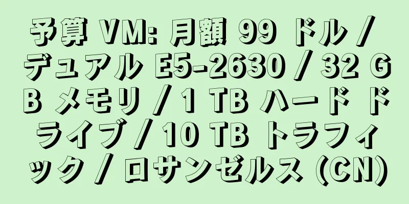 予算 VM: 月額 99 ドル / デュアル E5-2630 / 32 GB メモリ / 1 TB ハード ドライブ / 10 TB トラフィック / ロサンゼルス (CN)