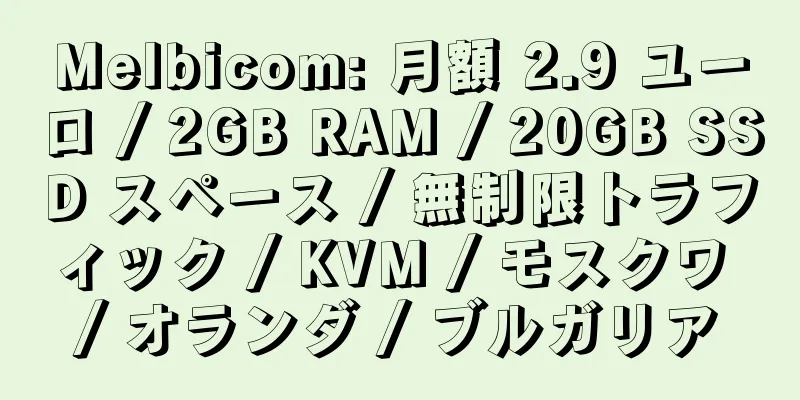 Melbicom: 月額 2.9 ユーロ / 2GB RAM / 20GB SSD スペース / 無制限トラフィック / KVM / モスクワ / オランダ / ブルガリア