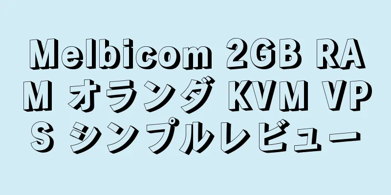 Melbicom 2GB RAM オランダ KVM VPS シンプルレビュー