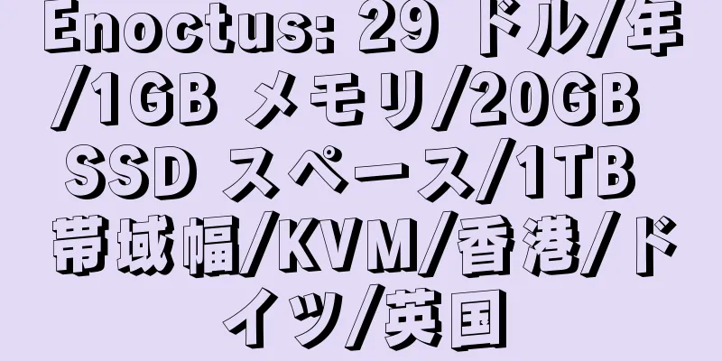 Enoctus: 29 ドル/年/1GB メモリ/20GB SSD スペース/1TB 帯域幅/KVM/香港/ドイツ/英国