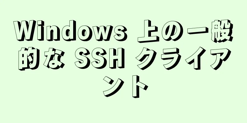 Windows 上の一般的な SSH クライアント